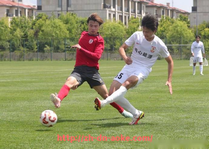 澳客足彩-法甲防守数据汇总报告及球队执行力对比